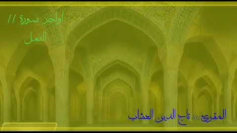 القارئ تاج الدين العشاب🌿ماتيسر من اواخر سورة النمل