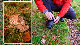 The BEST Kind of Woodland Photography