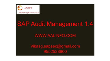 SAP Audit Management 1.4