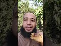 شمع عسل نحل طبيعي 100 من داخل منحل عسل بسمله الطبيعي طبيعي شمع عسل نحل طبيعي 100 من داخل منحل عسل بسمله الطبيعي طبيعي