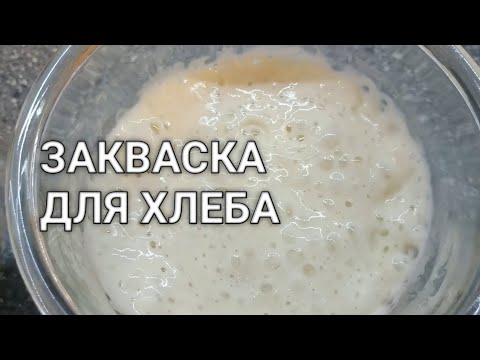 Закваска для пшеничного хлеба без дрожжей в домашних условиях