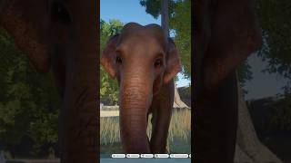 Indian elephant herd with albino elephant in Planet zoo #animalpark #game #planetzoo