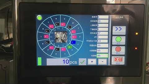 multihead weigher systems (counting function)