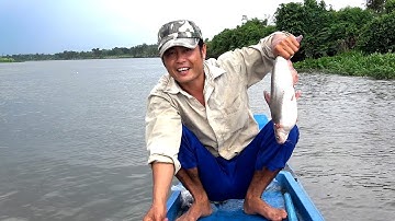 Thả câu Cá Tra bằng chai nhựa trên sông | Fishing