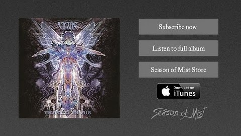 Cynic - The Space For This