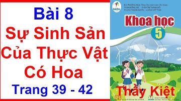 Khoa Học Lớp 5 Bài  8 | Sự Sinh Sản Của Thực Vật Có Hoa | Trang 39 - 42 | Cánh Diều