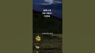 《封心锁爱》人这一生或悲或喜或无奈，都有自己的故事，最大的遗憾莫过于，在错的时间遇到对的人......