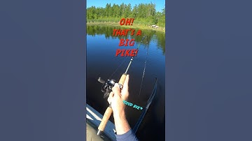 Little spinner big pike 🎣🔥