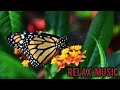 Relaxing sleep music  water sounds  piano music