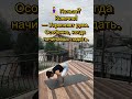 19 июня 2025 г.