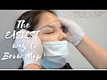 The Only Brow Mapping method I Use in my Microblading Studio- Full Version