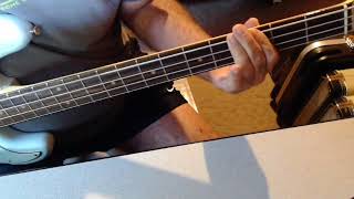 Mary Jane's Last Dance (Bass Cover)