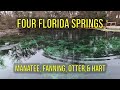 Four Springs in Florida