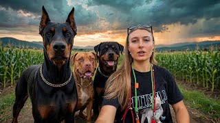 My Smartest Dog Is Ruining My Other Two Dogs