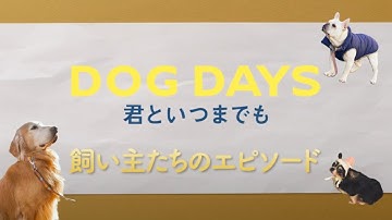 映画『DOG DAYS 君といつまでも』飼い主たちのエピソード・ビデオ