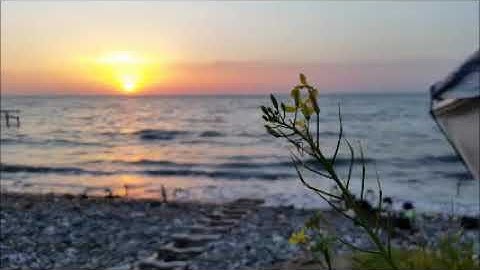 وما تكون في شأن وما تتلو منه من قرآن ولا تعملون من عمل إلا كنا عليكم شهودا || القارئ حاتم فريد