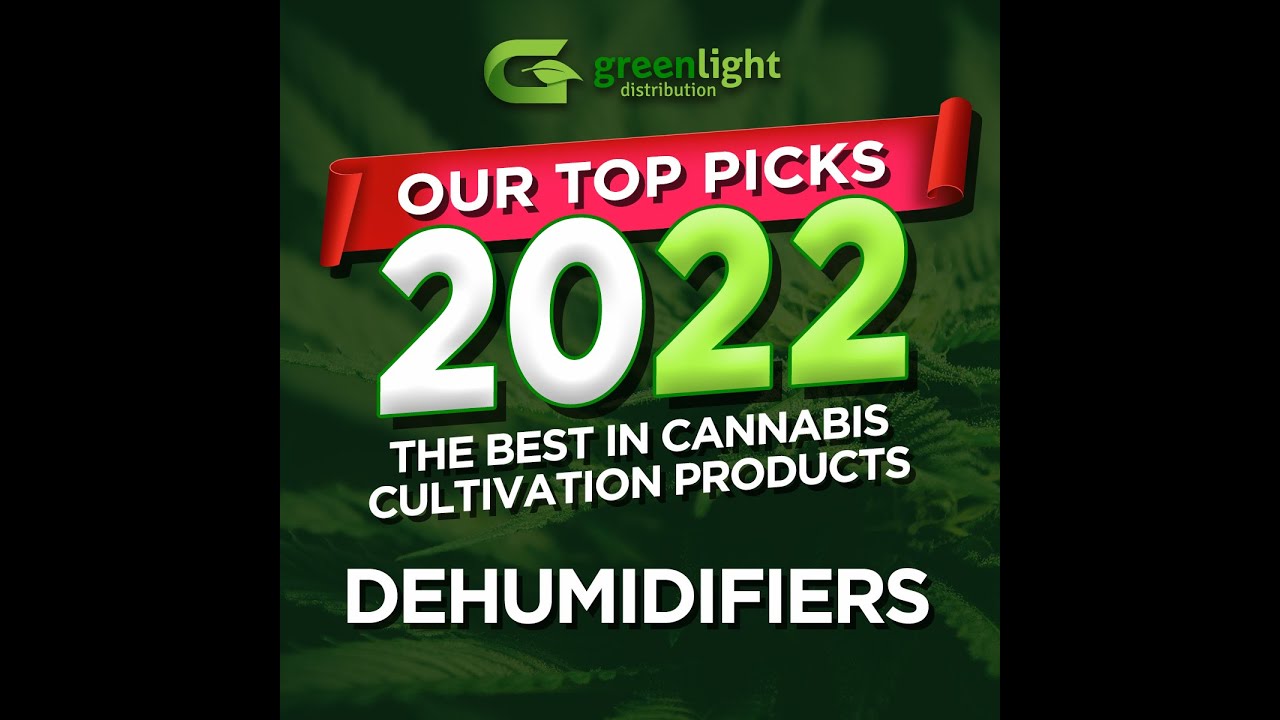 Our top picks for dehumidifiers in 2022: The Quest 506 and 335 - Greenlight  Distribution