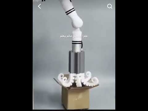 قران كريم علم الانسان مالم يعلم