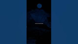 🎧🖤sometimes i wake up at the door