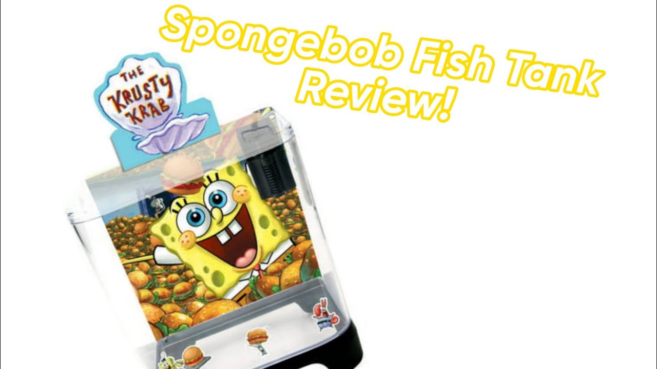 Spongebob Fish Tank Review YouTube