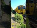 【なのはな号】【二軒茶屋踏切】を通過します。#shorts #JR #train