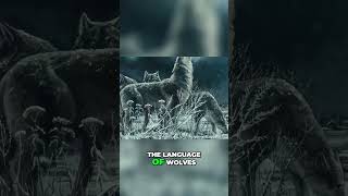 Unlocking the Secrets of Wolf Communication  Howls, Barks, and Body Language 1 #wildlife #shortvideo