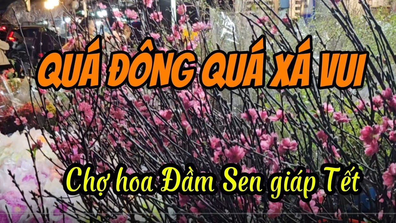 ​Chợ hoa Đầm Sen những ngày  giáp Tết: 
