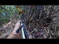 ( ต่ไก่ป่า)hunting,,shooting  Against the jungle in the big forest in laos # 5