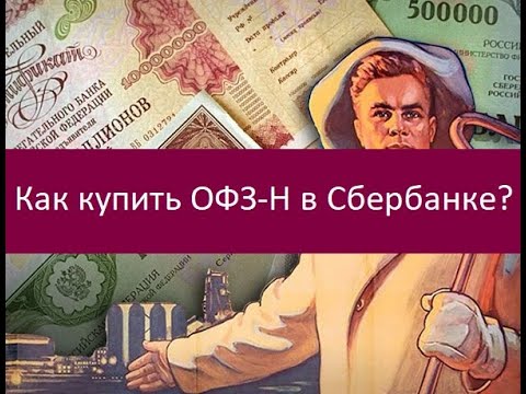 Как Купить Офз Юридическому Лицу