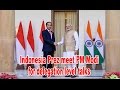 Indonesian prez to hold delegation level talks with pm modi  newspointtv