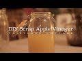 DIY Scrap Apple Vinegar - Simple fermentation