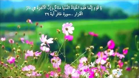 تلاوة خاشعة ١٥ثانية (سورة غافر آية ٣٩ )