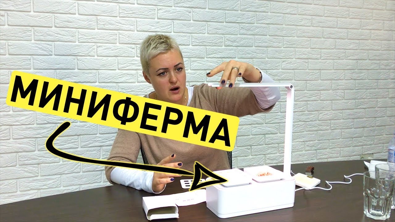 ✅Первая распаковка МИНИФЕРМЫ! (гидропонная установка)