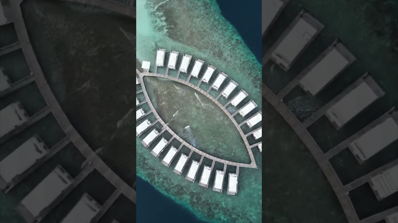 Elevate your senses with a bird’s eye view of paradise at Sandies Bathala. 🌴✨