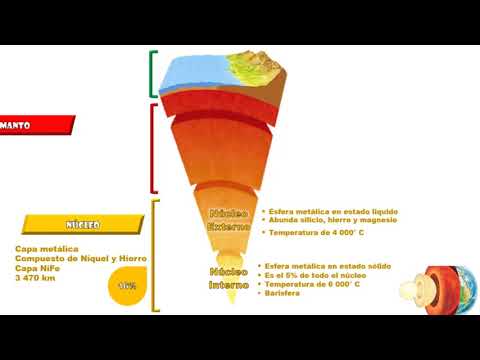 5. ESTRUCTURA INTERNA