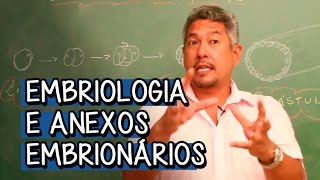 Embriologia e Anexos Embrionários - Extensivo Biologia | Descomplica