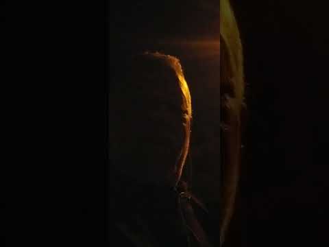 خربوووشة زرواااالة لكرااايدة لمشحااااط تحت لمييييدة الدرجة نصف جديدة علاااش منحت التعويضاااات