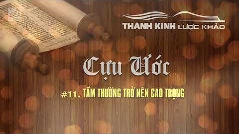 TKLK #11 - Tầm Thường Trở Nên Cao Trọng || LƯỢC KHẢO CỰU ƯỚC