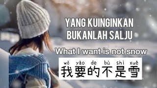 Wo Yao De Bu Shi Xue - 我要的不是雪 - Li Fa fa - 李发发 - Yang Ku Mau Bukanlah Salju -What I want is not snow