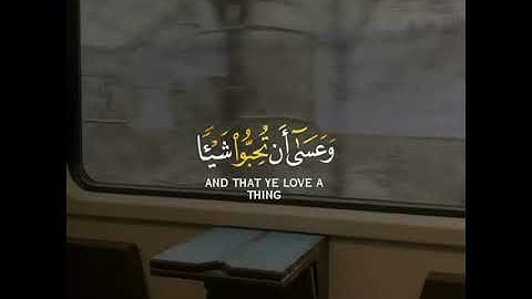 تلاوه خاشعه | بصوت القارئ مشاري العفاسي | حالات واتش اب دينيه♥♥.