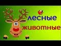 ЛЕСНЫЕ животные для ДЕТЕЙ / ЗВУКИ животных / Развивающие мультики  МАЛЫШЕЙ