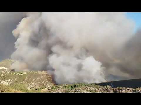 Βίντεο: Έλεγχος πυρκαγιάς Mayhaw - Αντιμετώπιση της νόσου της πυρκαγιάς Mayhaw