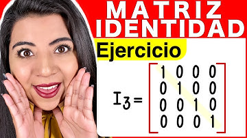 ¿QUÉ ES UNA MATRIZ IDENTIDAD? (DEFINICIÓN y EJEMPLOS)