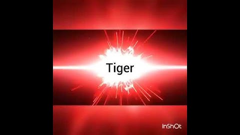 Tiger煙 intro #2 love your