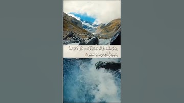 إني توكلت على الله ربي وربكم ما من دابة إلا هو آخذ | الآية 56 من سورة هود
