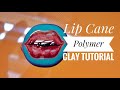 Funky lips cane polymer clay tutorial / 입술모양 케인 폴리머클레이 강좌