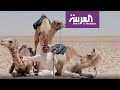 على خطى العرب | في البدء كان الانسان - "الرحلة السادسة"  الحلقة 1