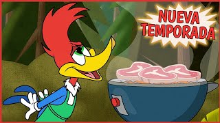 El Pájaro Loco Carne Y Fama Nuevo Episodio 29
