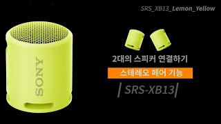[강의] SRS-XB13 2대의 스피커로 음악을 무선으로 듣기 (스테레오 페어 기능)