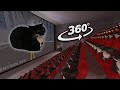 Maxwell the cat 360  cinema hall  vr360 experience